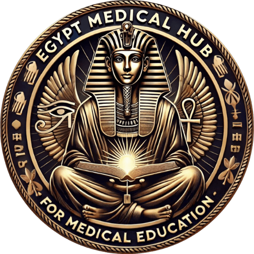 Egypt Medical Hub